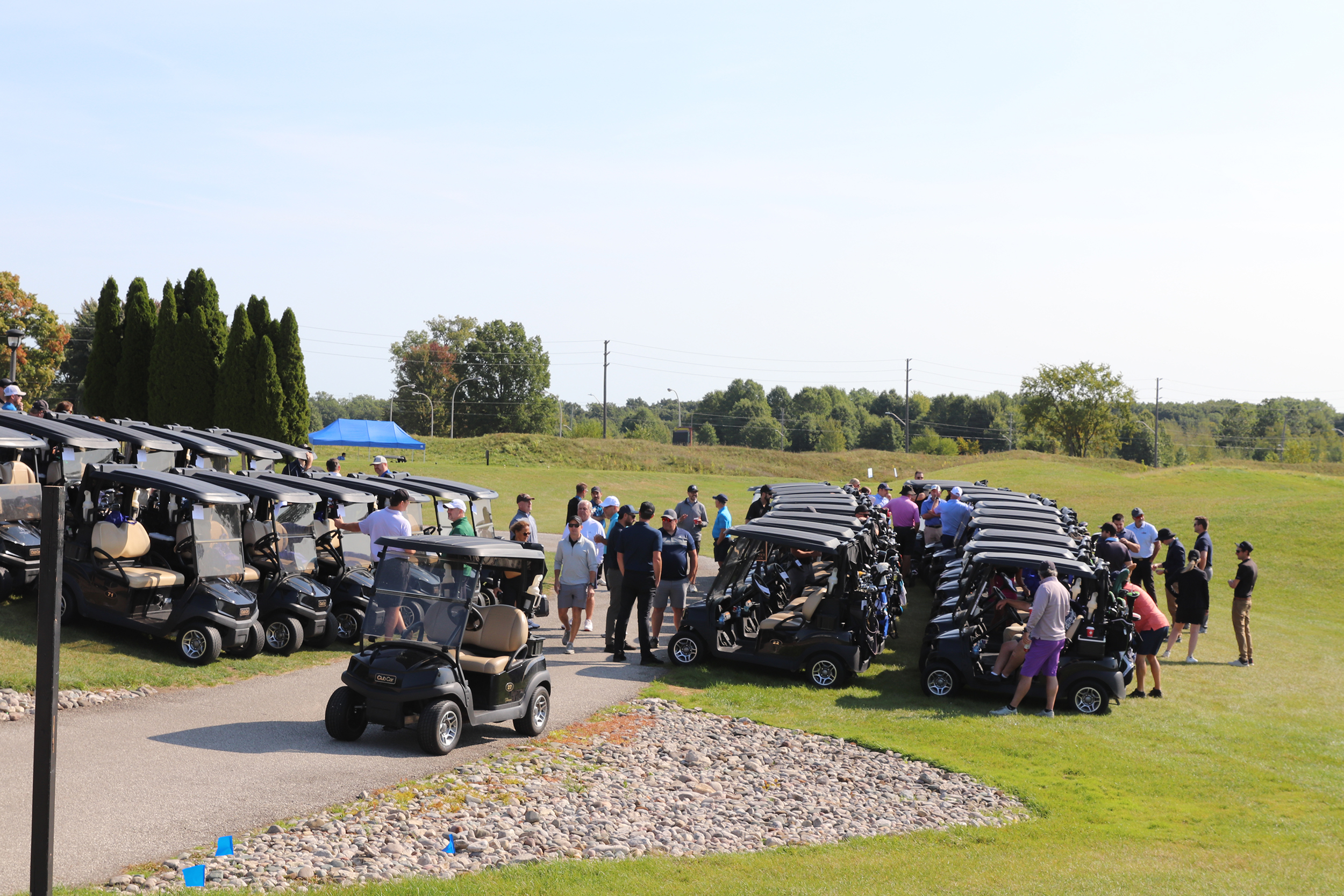 a number of golf carts